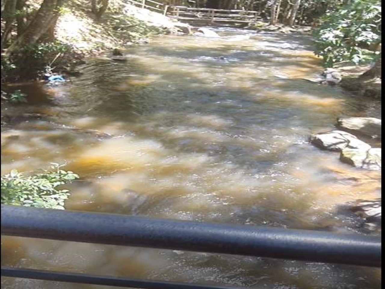 Cachoeira dos Pretos (Videos)