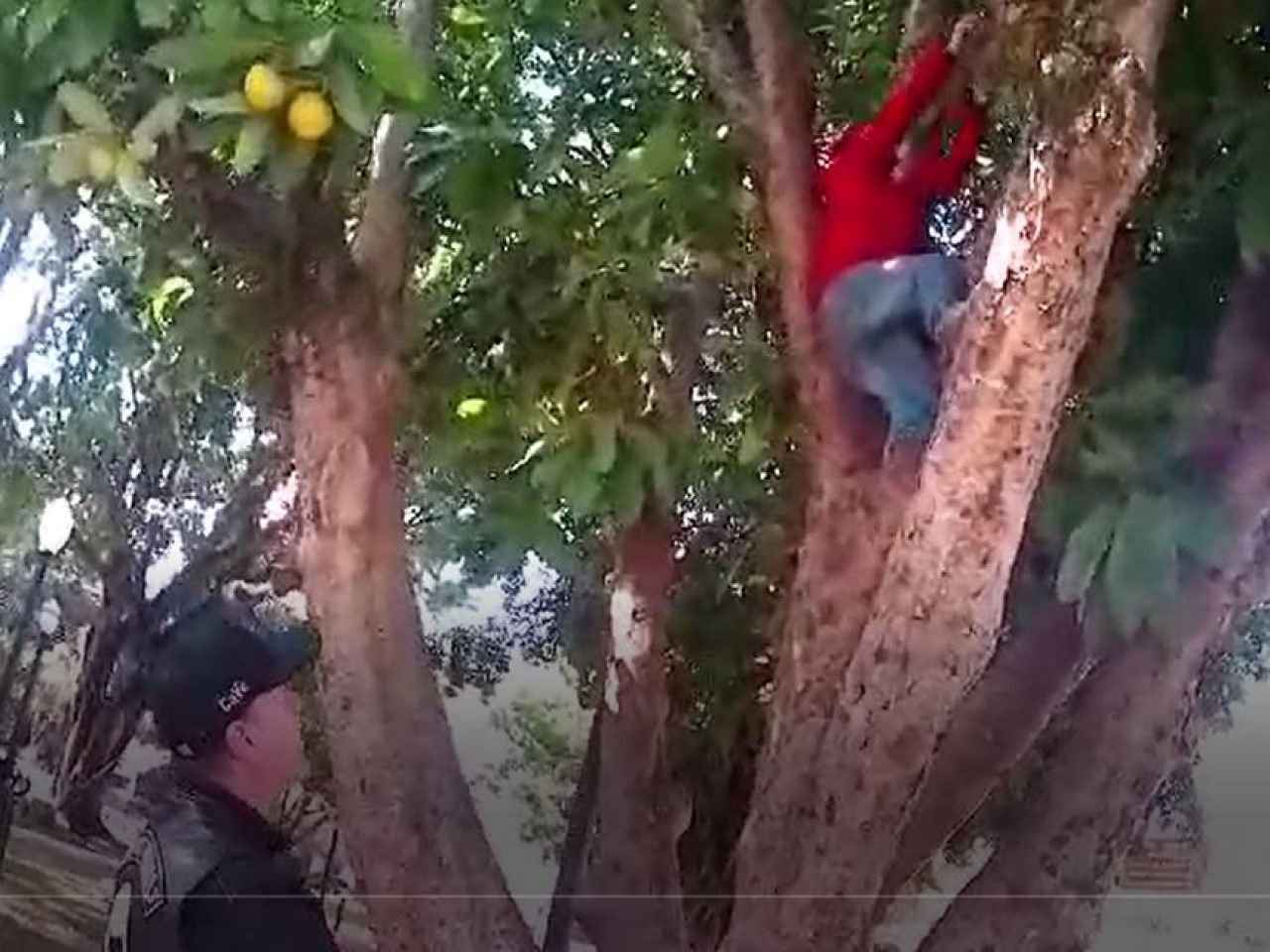 Jornada Serras - Mantiqueira e Bocanina (Videos)