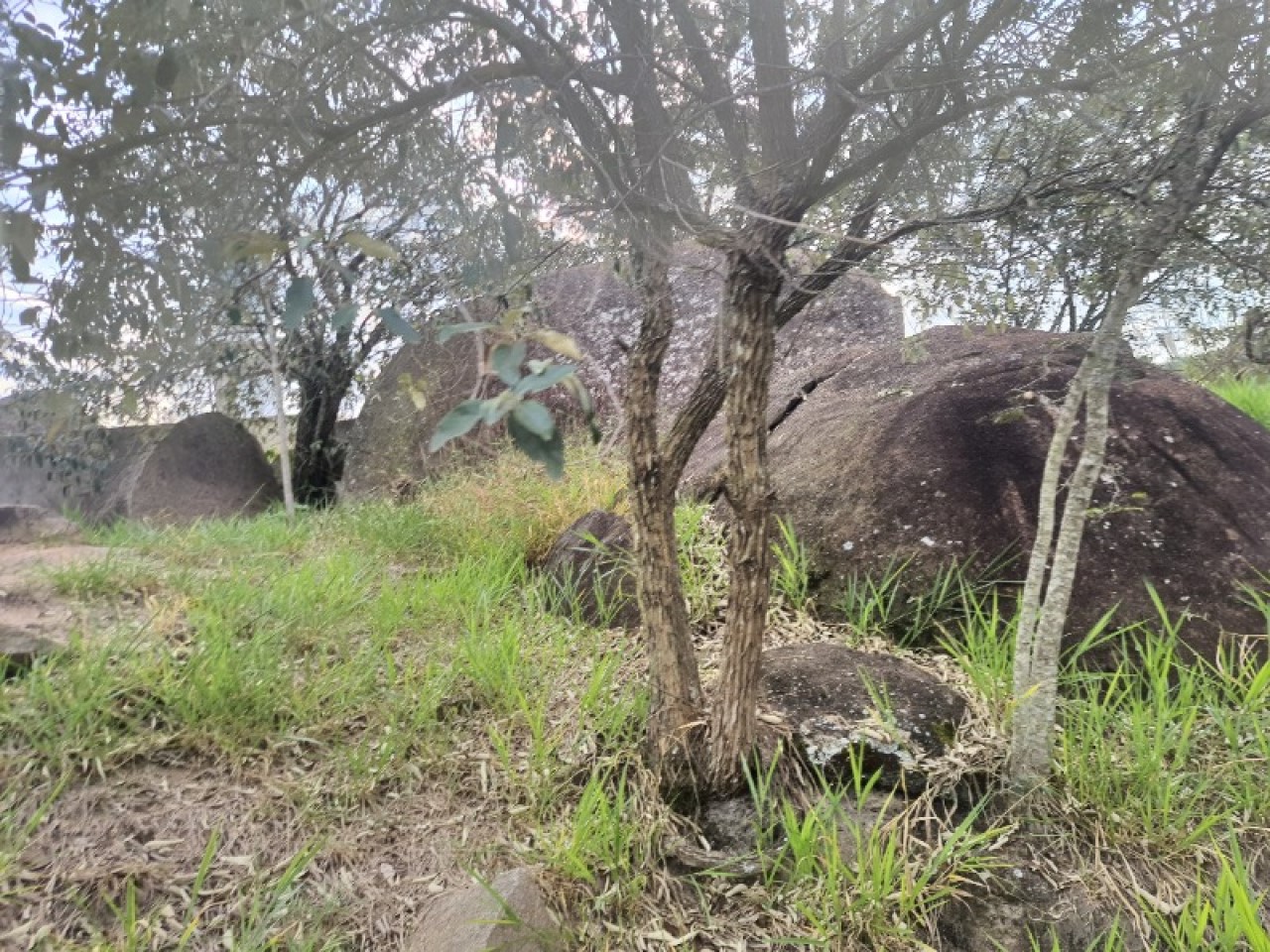 Parque Pico das Cabras - SP (Videos)